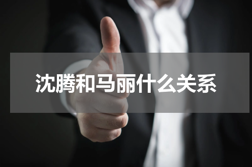 沈腾和马丽什么关系