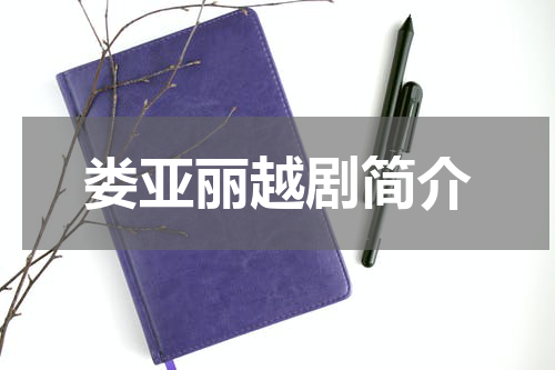 娄亚丽越剧简介
