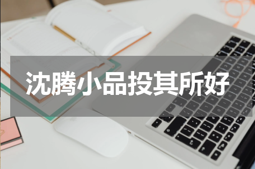 沈腾小品投其所好