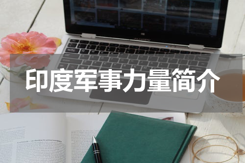 印度军事力量简介