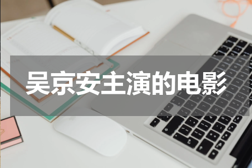吴京安主演的电影