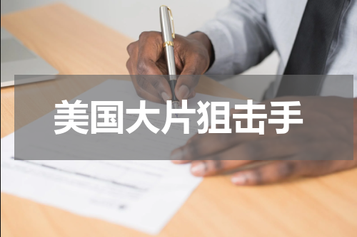 美国大片狙击手