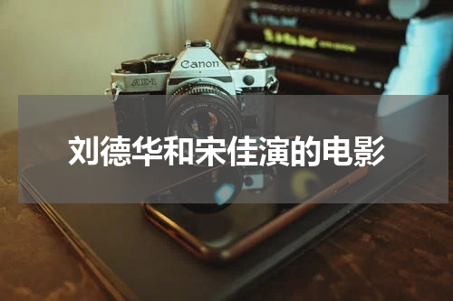 刘德华和宋佳演的电影