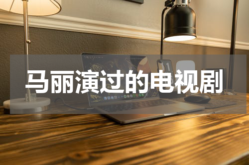 马丽演过的电视剧