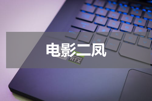 电影二凤