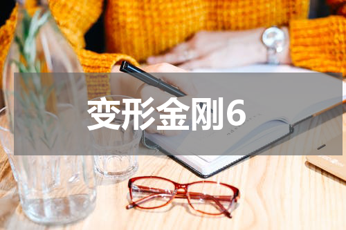 变形金刚6