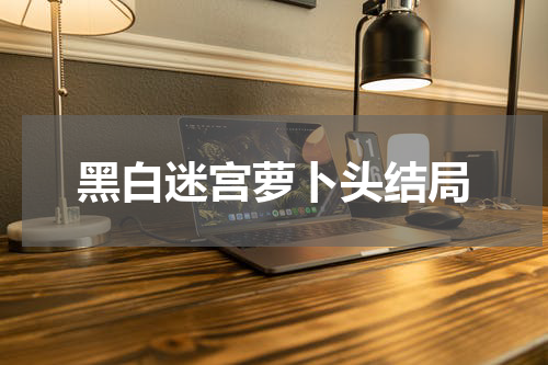 黑白迷宫萝卜头结局