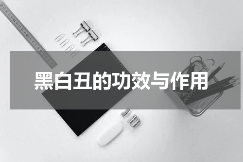 黑白丑的功效与作用