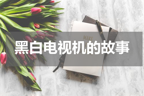 黑白电视机的故事