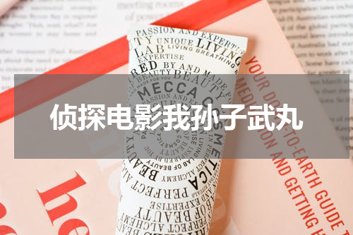 侦探电影我孙子武丸