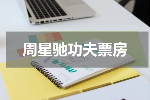 周星驰功夫票房