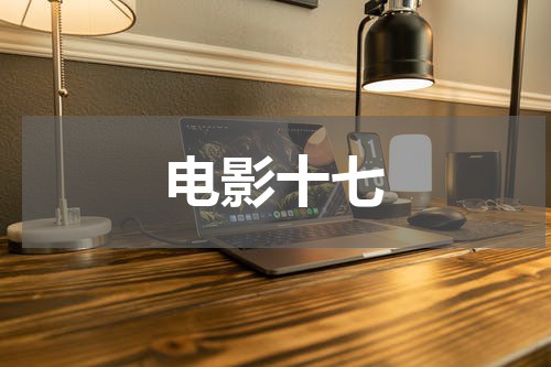 电影十七