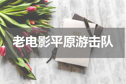老电影平原游击队