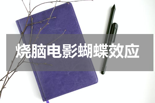 烧脑电影蝴蝶效应