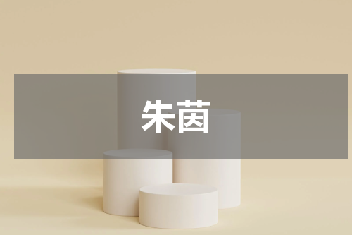 朱茵