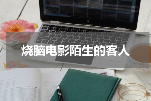烧脑电影陌生的客人