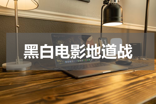 黑白电影地道战