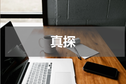 真探