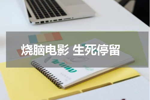 烧脑电影 生死停留