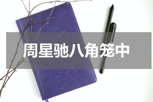 周星驰八角笼中