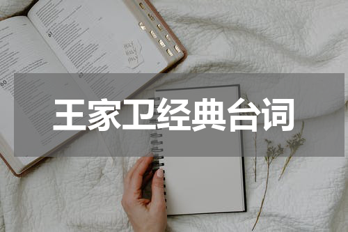 王家卫经典台词