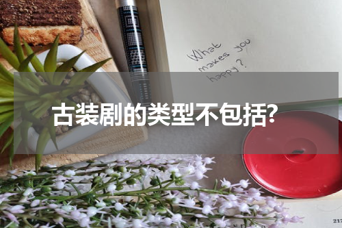 古装剧的类型不包括?
