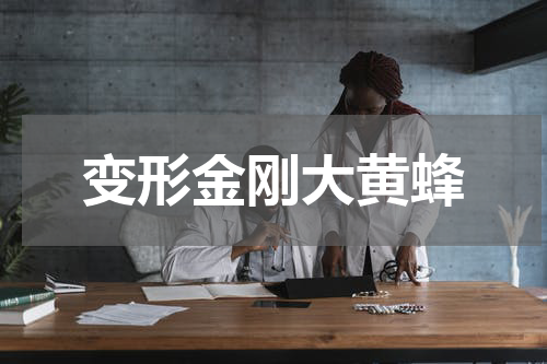 变形金刚大黄蜂
