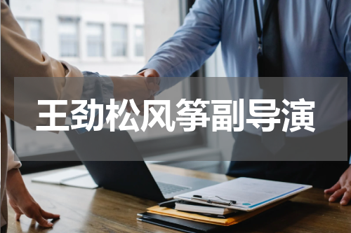 王劲松风筝副导演