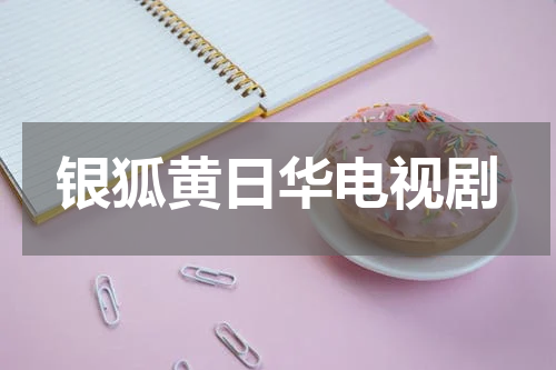 银狐黄日华电视剧