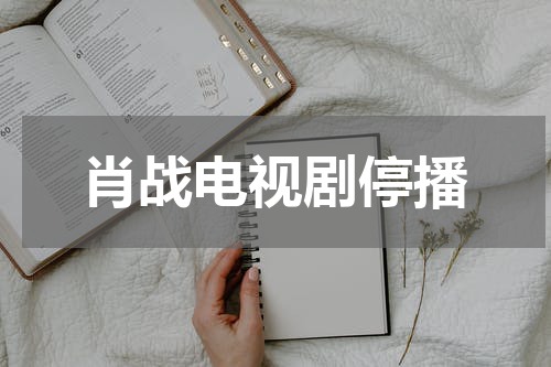 肖战电视剧停播