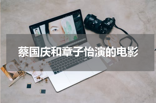 蔡国庆和章子怡演的电影