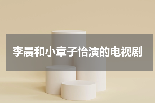 李晨和小章子怡演的电视剧