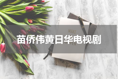 苗侨伟黄日华电视剧