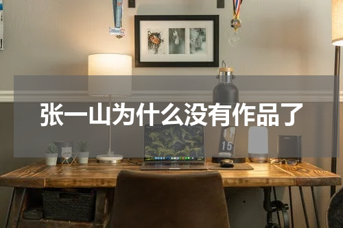 张一山为什么没有作品了