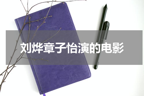刘烨章子怡演的电影