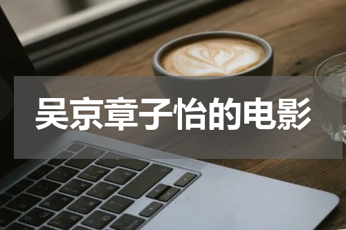 吴京章子怡的电影