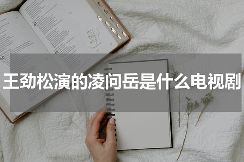 王劲松演的凌问岳是什么电视剧