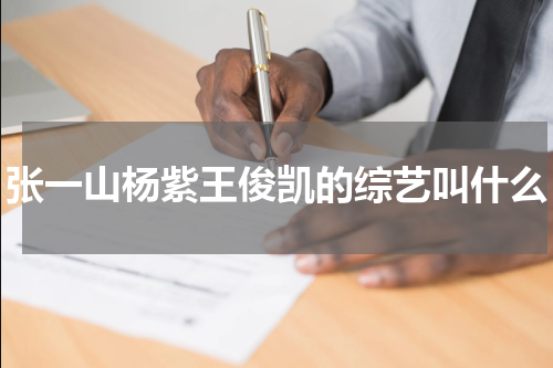 张一山杨紫王俊凯的综艺叫什么