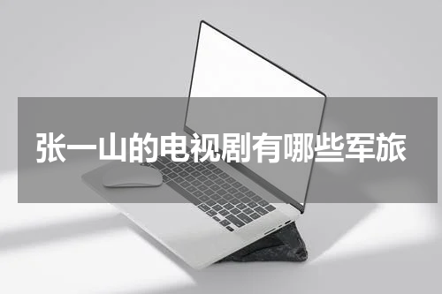 张一山的电视剧有哪些军旅