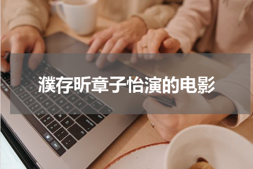濮存昕章子怡演的电影