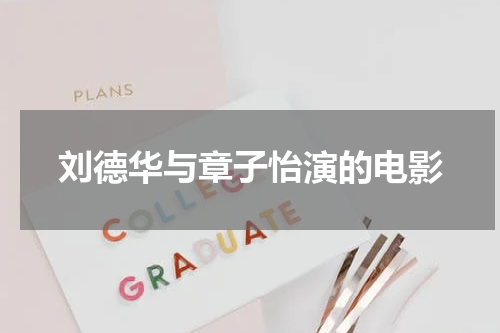 刘德华与章子怡演的电影