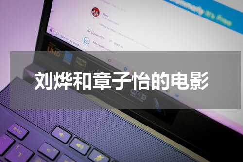 刘烨和章子怡的电影
