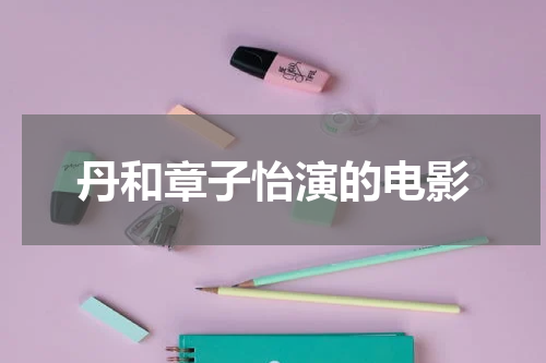 丹和章子怡演的电影