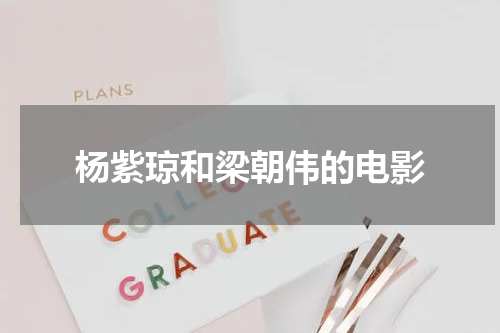 杨紫琼和梁朝伟的电影