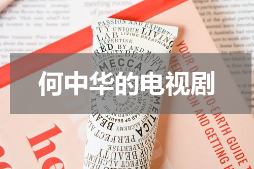 何中华的电视剧