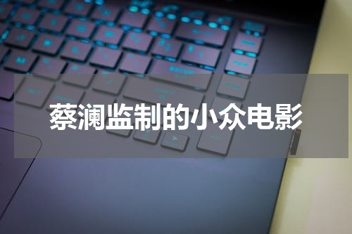 蔡澜监制的小众电影