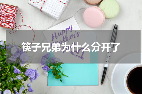 筷子兄弟为什么分开了