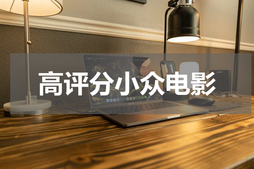 高评分小众电影