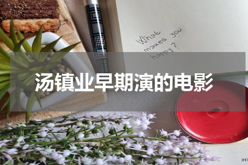 汤镇业早期演的电影