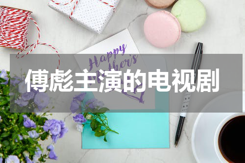 傅彪主演的电视剧